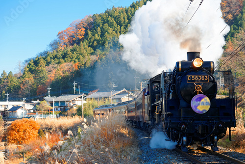 Obraz na plátně The Paleo Express hauled by a steam locomotive travels on Seibu Chichibu Railway