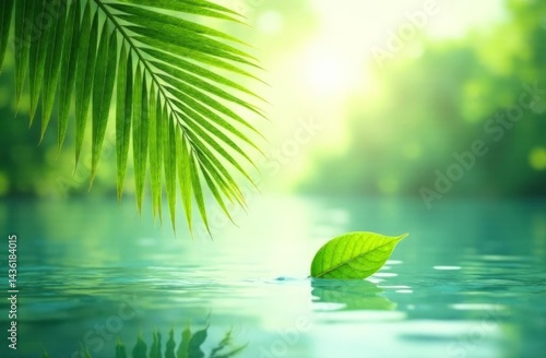 light green background, palm  leaf on the water on in sunny day