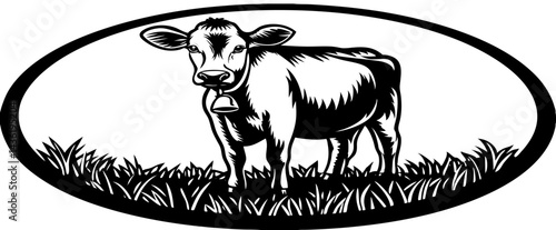 Cattle farmer feeding a herd of cows on an organic and sustainable farm outdoors on a sunny day. A caring agriculture expert or animal lover breeding livestock and taking care of it of farmland