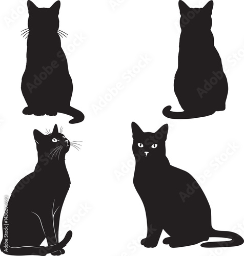black cat silhouettes sitting front and back views with details