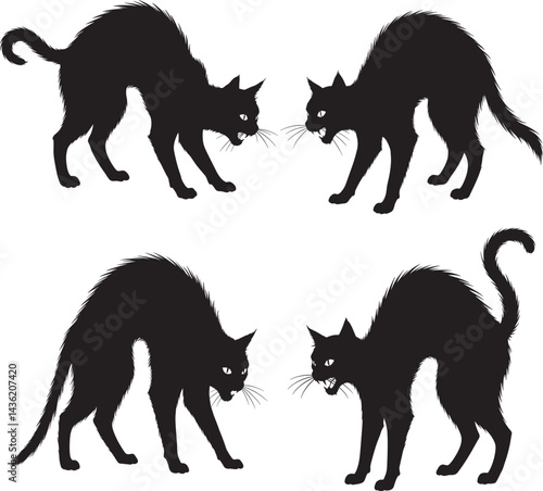 black cat silhouettes in aggressive and startled postures with arched backs hissing  