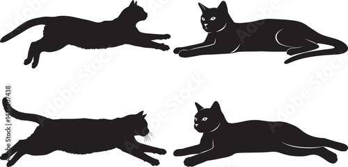 black cat silhouettes in dynamic and relaxed lying poses