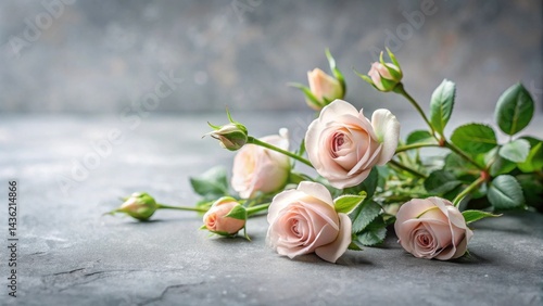 A Delicate Arrangement of Pale Pink Roses on a Textured Surface