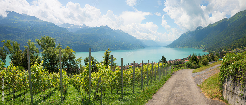 hiking trail above tourist resort Brienz, view to lake Brienzersee, switzerland