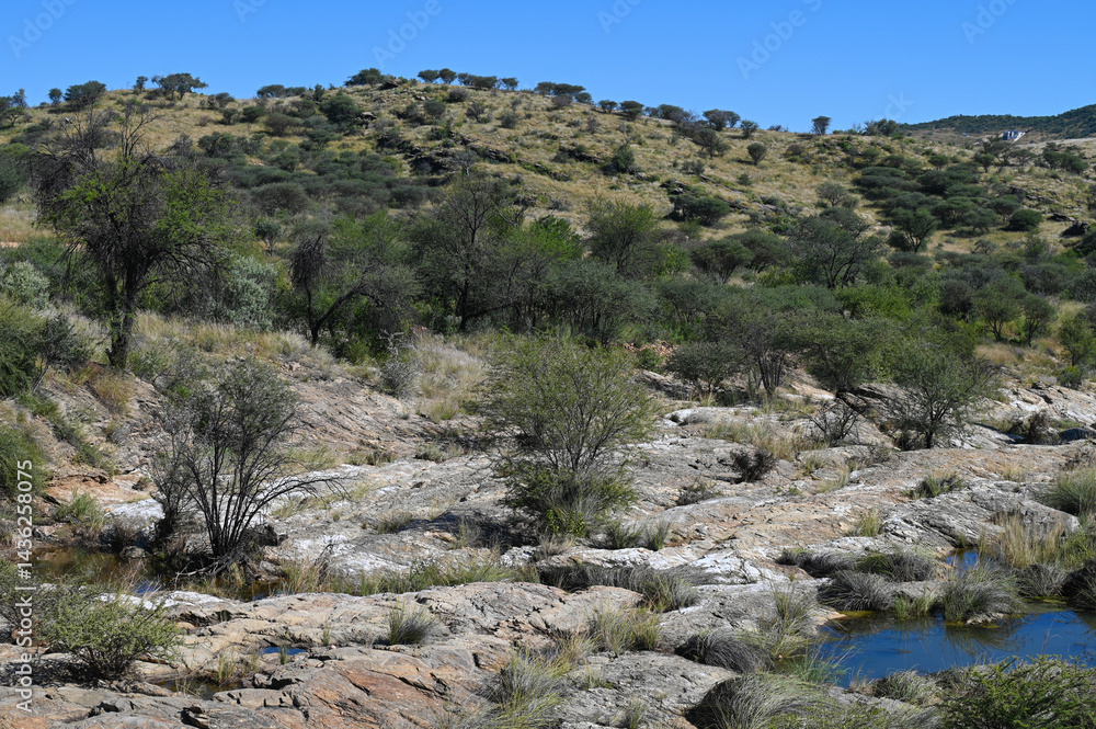 Le parc naturel Avis Dam en Namibie Le parc naturel Avis Dam en Namibie