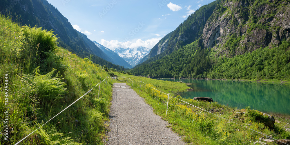 hiking route along lake Stillupspeicher, fern plants beside. idyllic landscape Zillertal, tyrol
