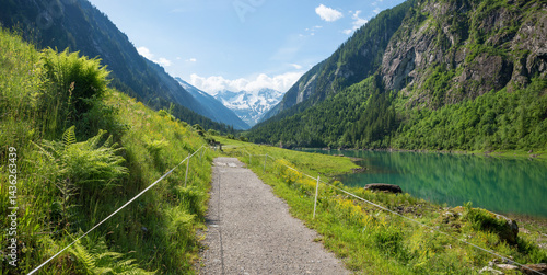 Obraz na płótnie hiking route along lake Stillupspeicher, fern plants beside. idyllic landscape Zillertal, tyrol w salonie