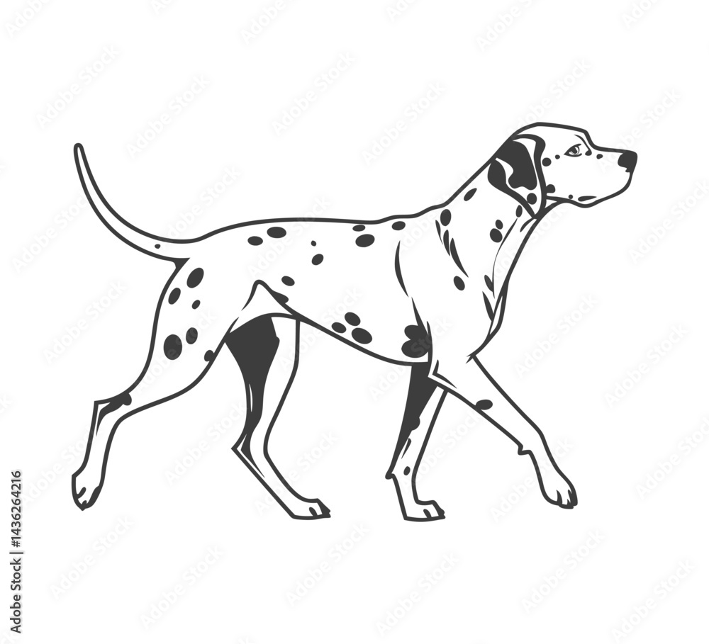 Fototapeta premium Silhouette of a loyal dog sitting calmly on a white background