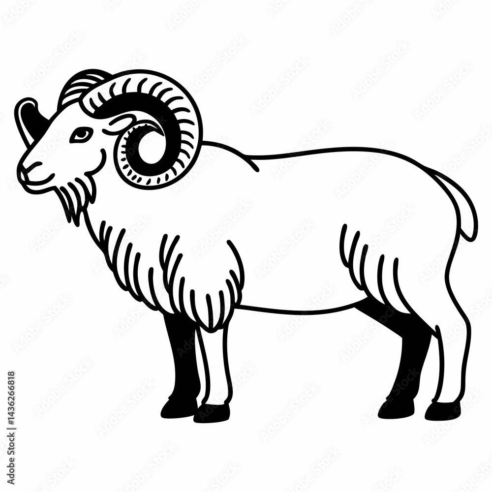 Fototapeta premium Vector illustration of Ram