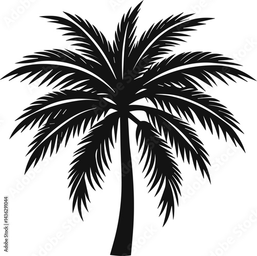 palm tree silhouette vector illustration
