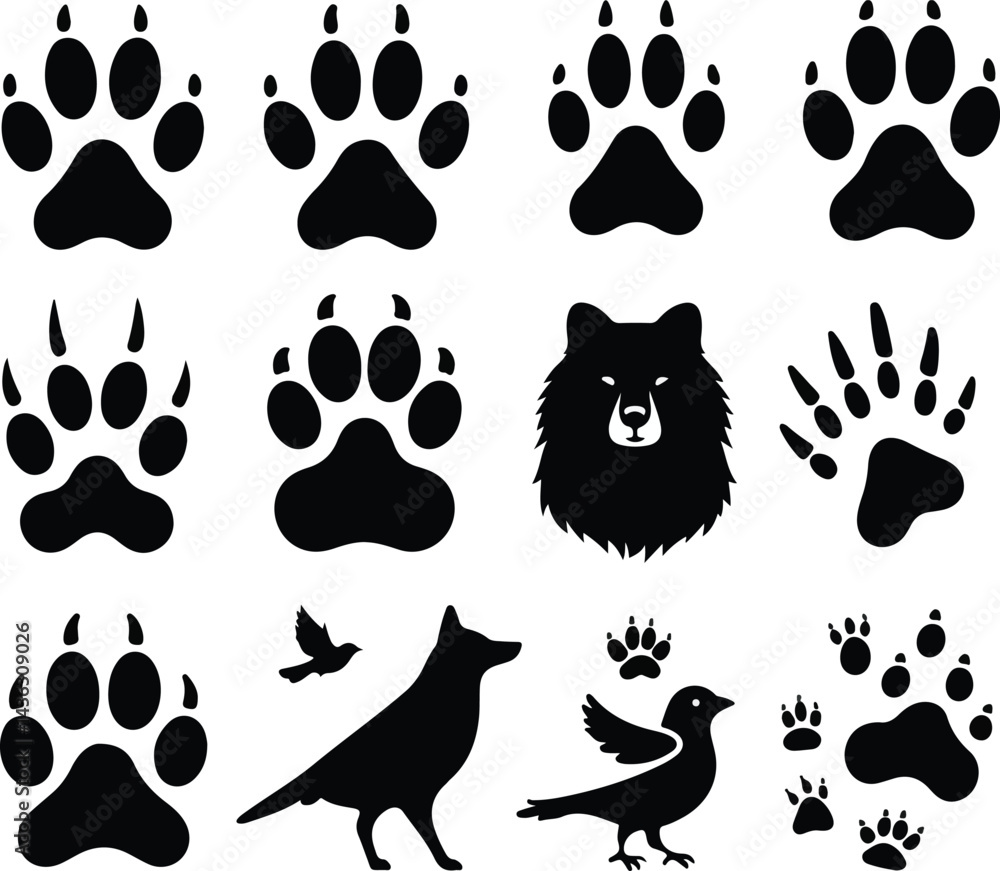 Different animal paw print vector silhouette Different animal paw print vector silhouette