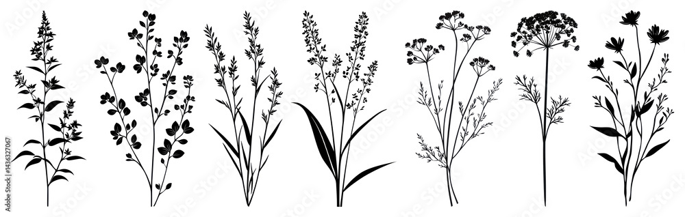 Naklejka premium PNG Vintage botanical plant illustrations, element set on transparent background