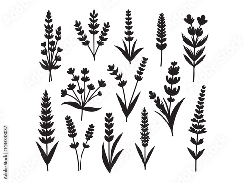 Lavender silhouette vector icons set