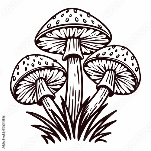 Detailed line art of three mushrooms in natural with grass elements.