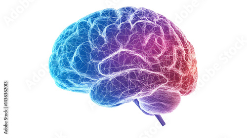 A colorful brain with purple, blue and red lines