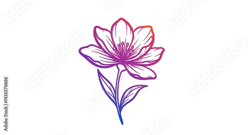Drawing of Flower with Gradient Coloring on White Background
