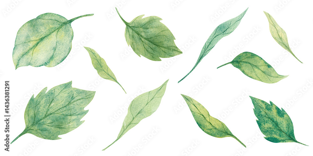 Hand drawn fantasy spring leaves set painted in watercolor style. Green shades. Watercolor illustration suitable for packaging, greeting cards, textile prints, eco designs, botanical projects Hand drawn fantasy spring leaves set painted in watercolor style. Green shades. Watercolor illustration suitable for packaging, greeting cards, textile prints, eco designs, botanical projects