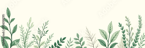 Hand-drawn green plants and layered leaves on white, with delicate pencil strokes and vintage botanical style, creating a minimal, elegant 4K wallpaper.