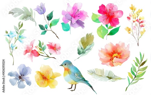 Watercolor floral and bird clipart set, spring flowers, simple white background, colorful.
