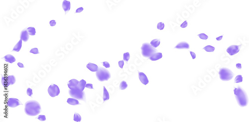 Purple rose petals gently float seasonal design. Flower petal flying in air