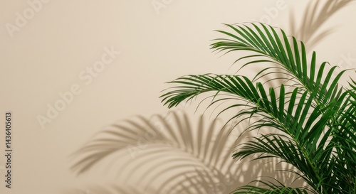 Wallpaper Mural Green palm fronds cast shadows on a neutral beige wall background. Torontodigital.ca
