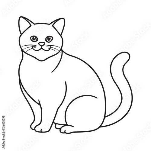 Exotic Shorthair Cat Fluffy Outline