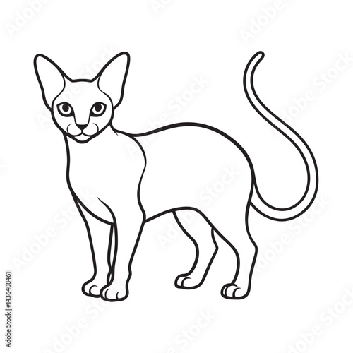 Sphynx Cat Hairless Pet Outline