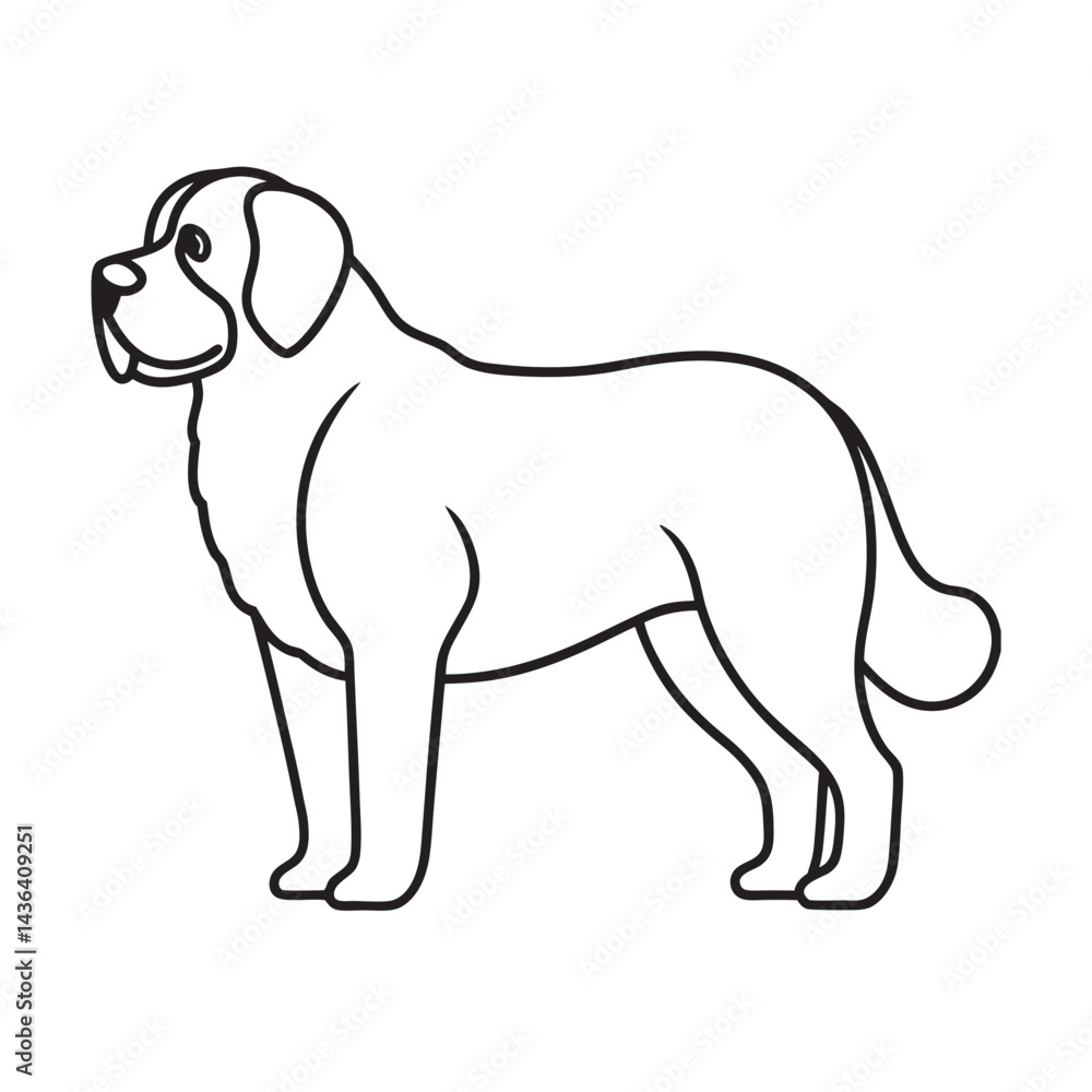 Fototapeta premium Saint Bernard Gentle Giant Outline Vector