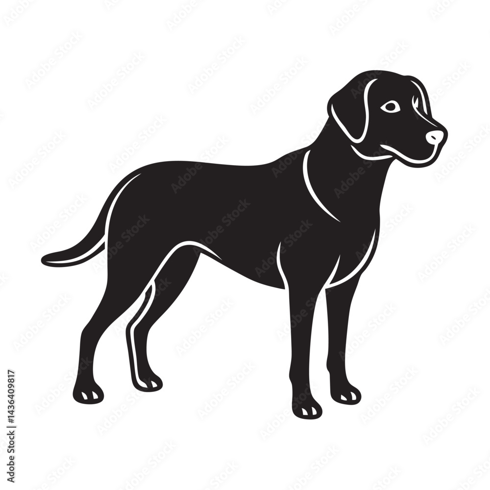 Fototapeta premium Labrador Retriever Pet Line Art