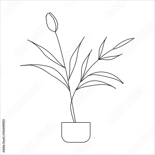 Floral art,flower art 