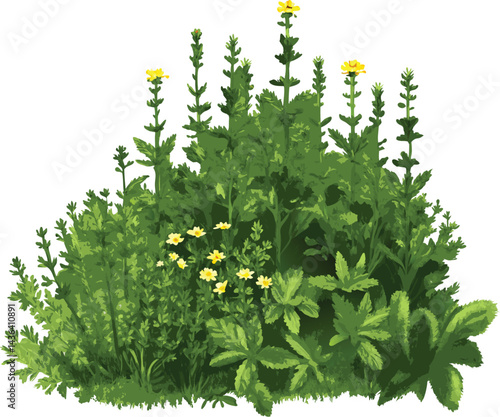 Watercolor botanical illustration of diverse plant specimens with green leaves and yellow flowers in a delicate vintage style on white background