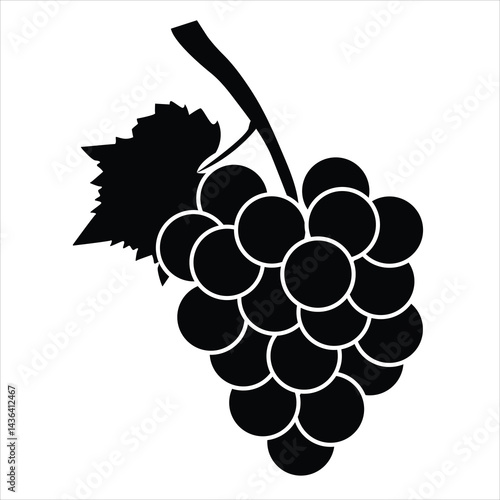 grapes vector illustration