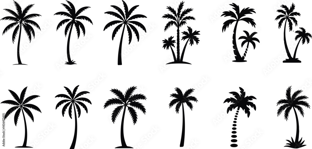Fototapeta premium Palm Tree Collection of Silhouette vector on transparent background.
