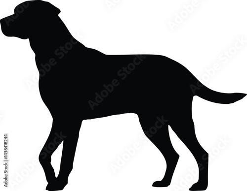 Labrador Dog Standing Side View Silhouette Illustration Vector