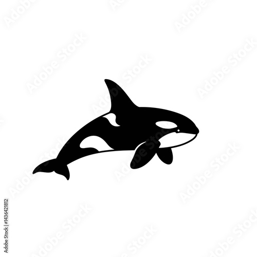 Orca whale silhouette swimming against a white background  