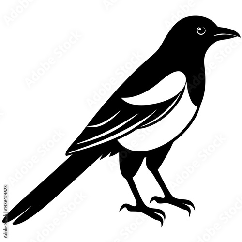 Animal magpie silhouette vector illustrator 