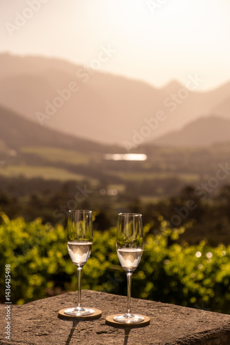 Luxury vineyard landscapes and wine tasting experiences in South Africa’s Cape Winelands, featuring mountain views, terraces, and scenic rural settings.
