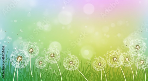 Green Nature Background with Dandelions and Bokeh Light - Fresh Spring Design
