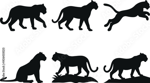 Photos Set of Tiger Silhouette