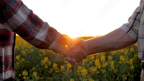 Farmers shake hands on rural farm in field of flowering rapeseed. Handshake for conclusion successful of contract for supply of food and products. Farmers on plantation against sunset. Hands close up