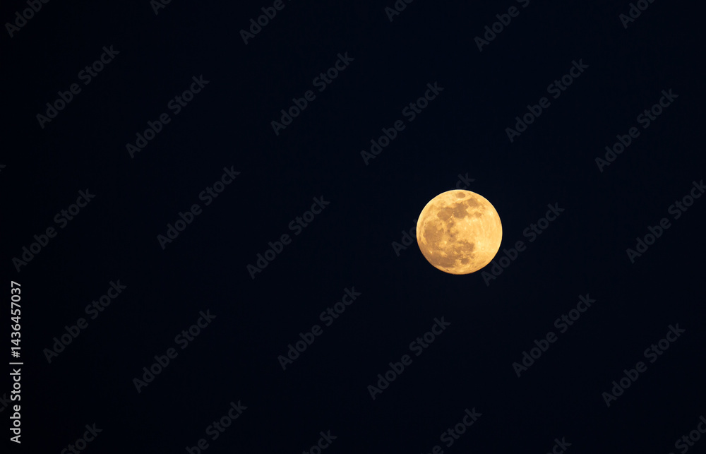 Fototapeta premium Full moon in the black sky. Close-up of the moon in the evening or night sky. Supermoon is an astronomical event.