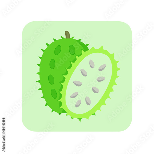vector illustration of a kiwi fruit