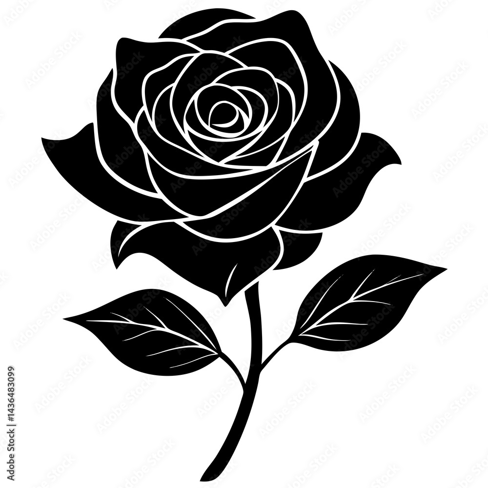 black rose vector illustration black rose vector illustration