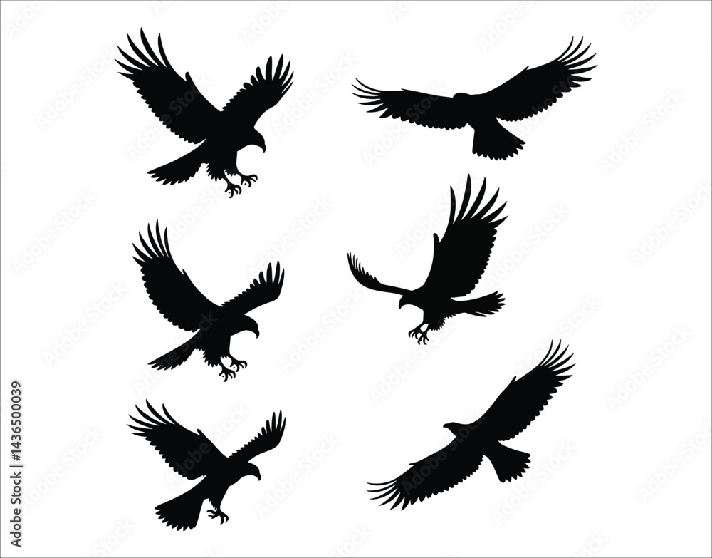 Fototapeta premium Noble Eagles Vector Silhouettes