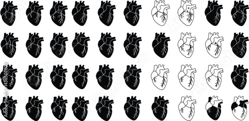 
Anatomical heart vector silhouette icon set. heartbeat, cardiovascular, anatomy, medical, health, cardiology