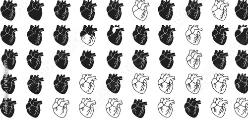 
Anatomical heart vector silhouette icon set. heartbeat, cardiovascular, anatomy, medical, health, cardiology