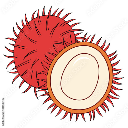Rambutan Fruit Illustration