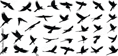 bird silhouette vector illustration, perfect for logo design, art projects, and graphic design
