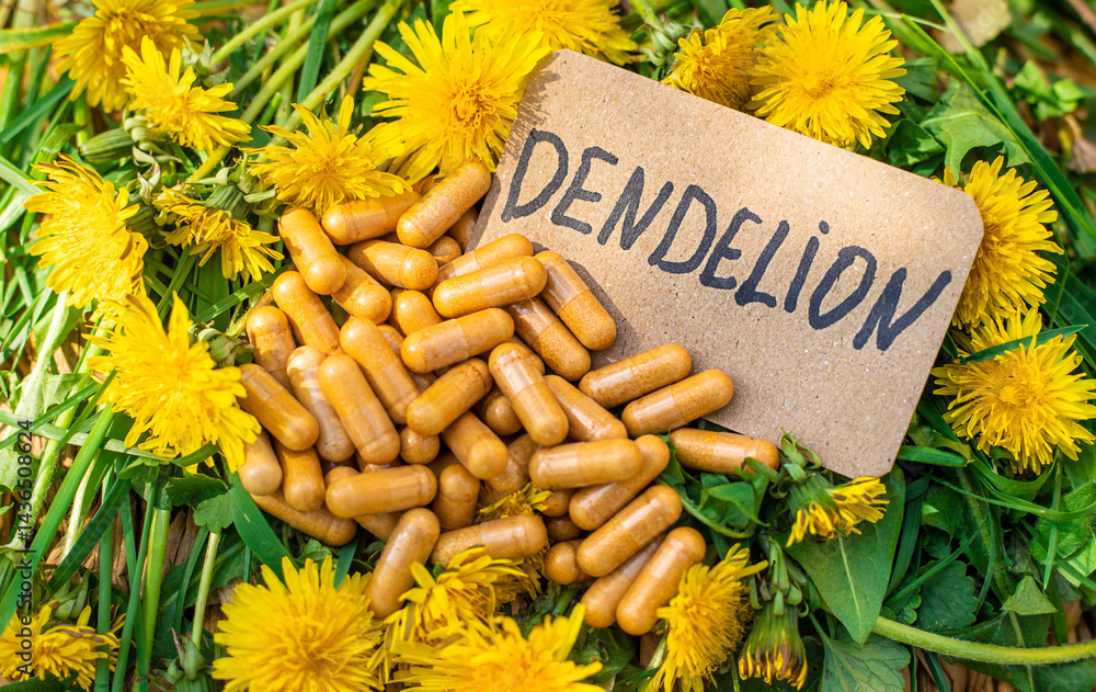 Naklejka premium Dandelion extract and homeopathic supplements. Selective focus.