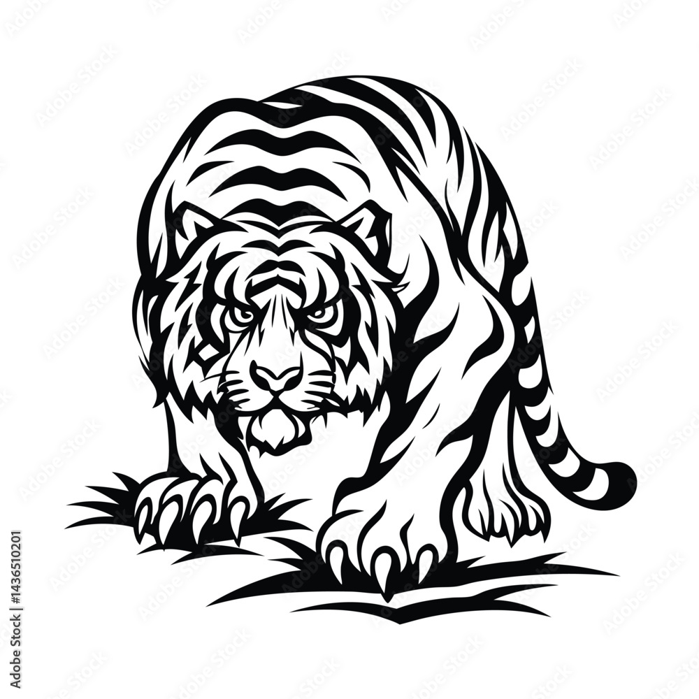 Fototapeta premium Striking Black and White Tiger Intense Eyes, Bold Stripes, Strong Paws